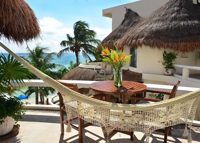 Playa Palms