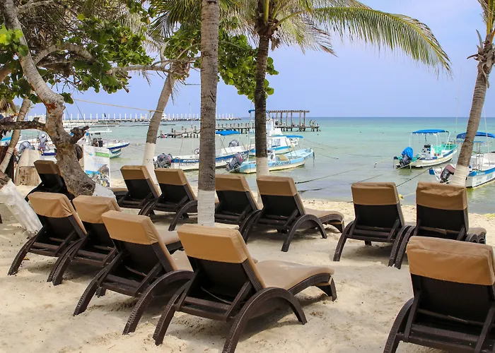 Hotel Playa Palms